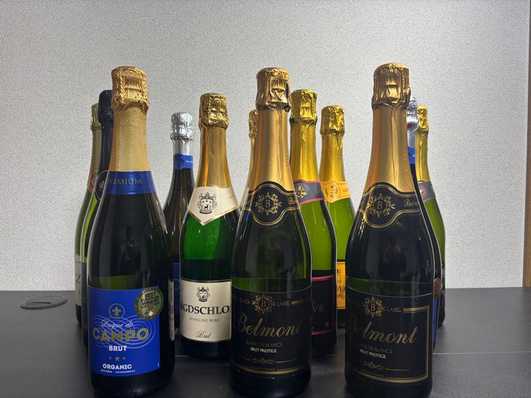 【未開封】スパークリングワイン 12本セット 辛口 ストック・まとめ買い