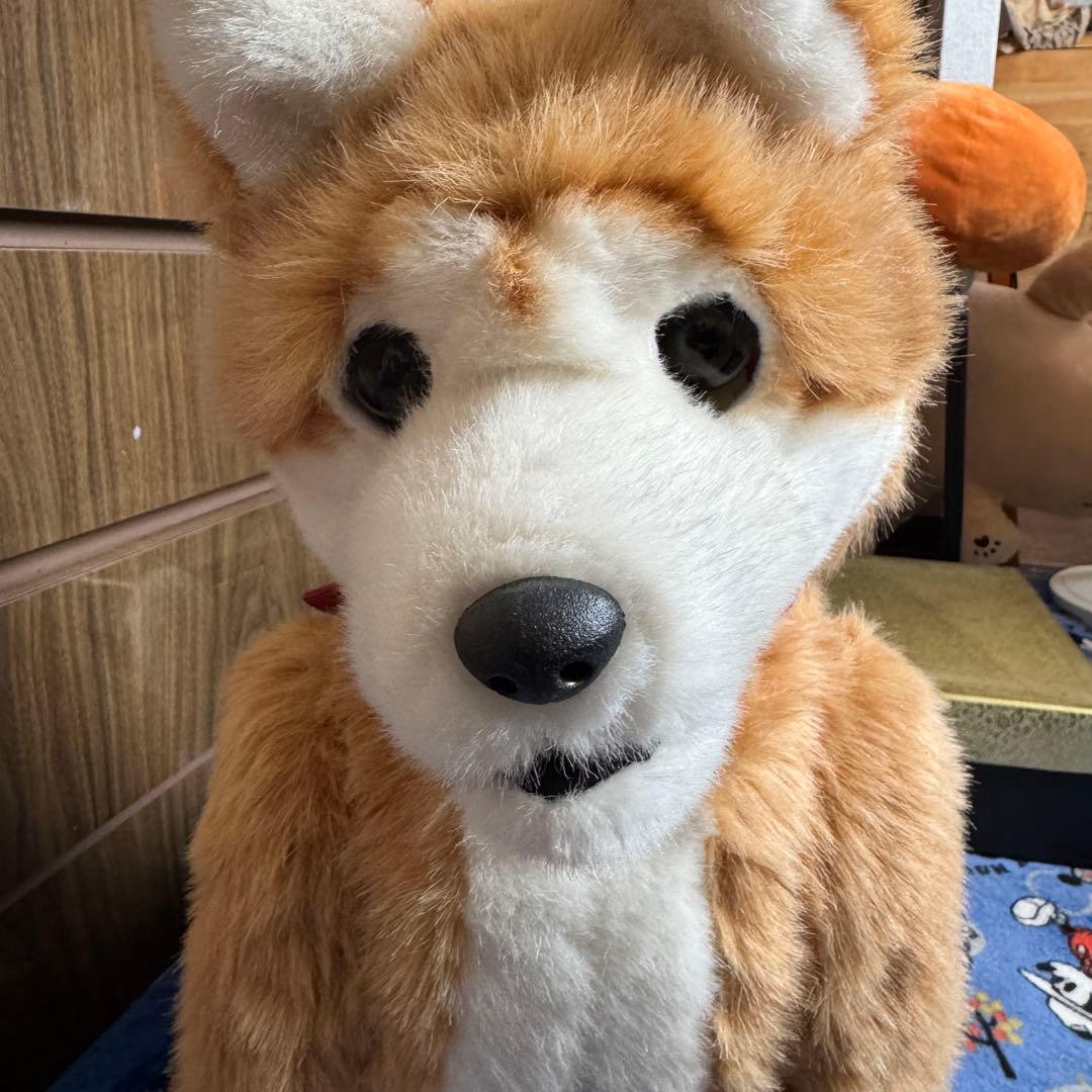 電動ペット ペットロボット ココチモ 愛犬しばちゃん 等身大 柴犬