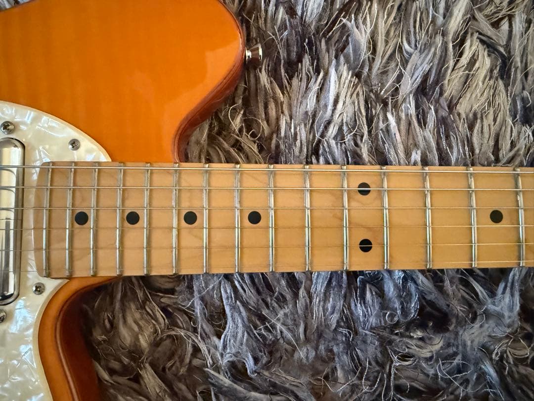 【日本未発売】アイバニーズ タルマン TC830FM Ibanez Talman