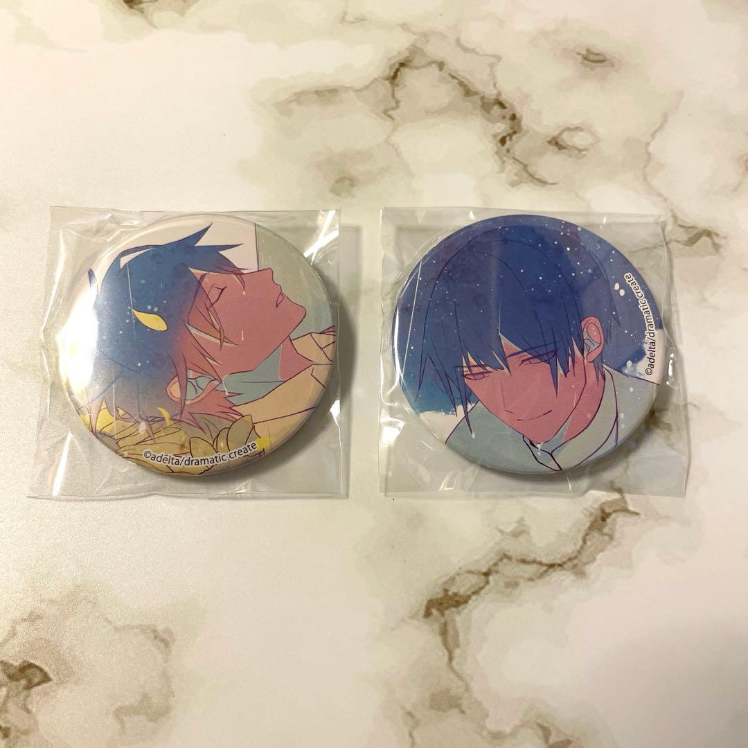 古書店街の橋姫 玉森 水上 々 PSVita アニメイト 特典 缶バッジ セット