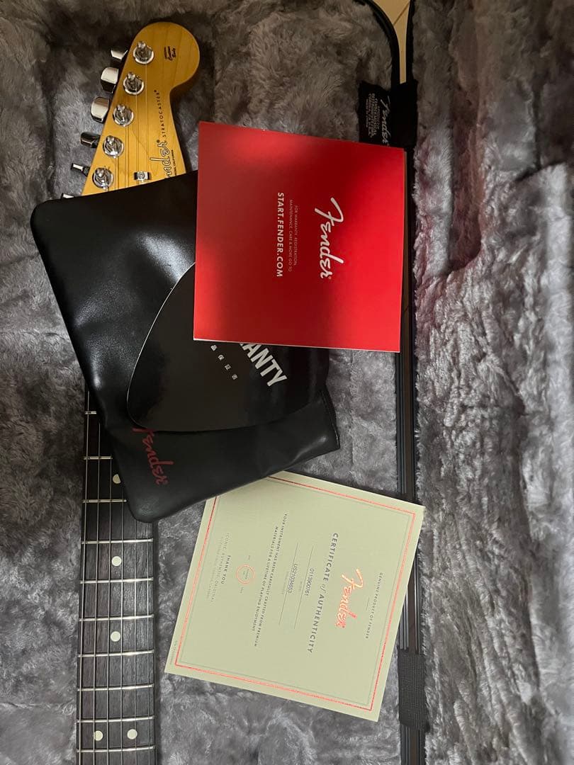 ギター FENDER American Professional II