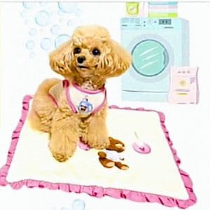 D Laundry Bearフリルタンク＆マット セット　circusサーカス