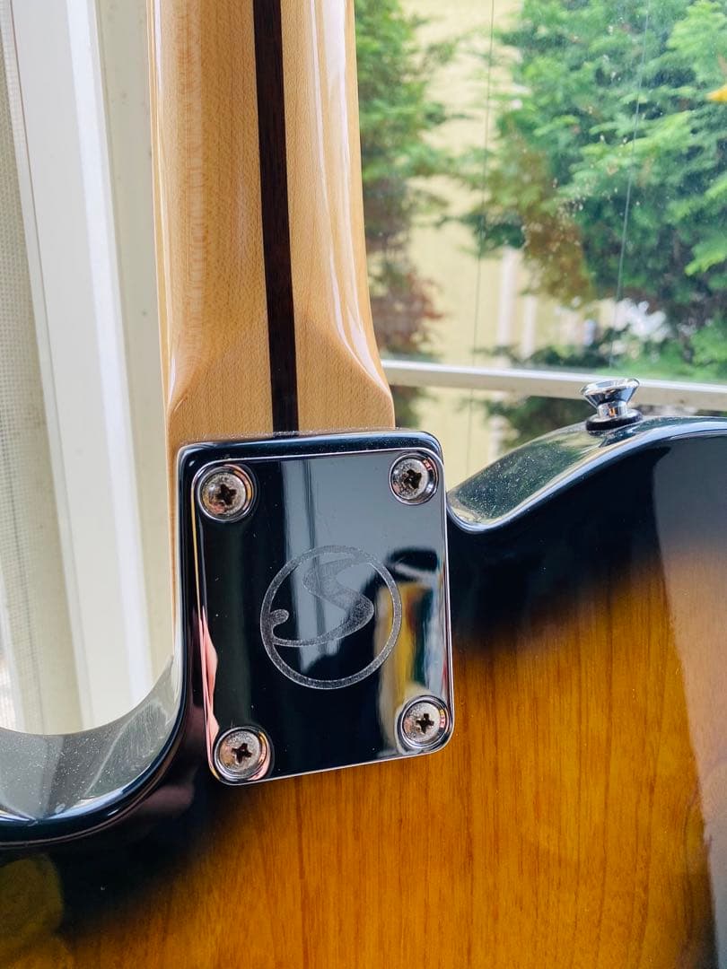 ギターSelva Telecastder