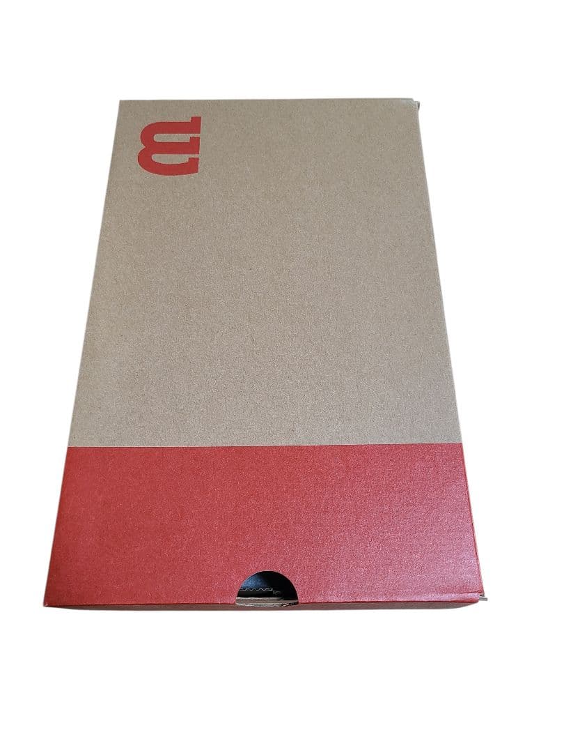 Wilson ラッシュプロ4.0 28cm オールコート用