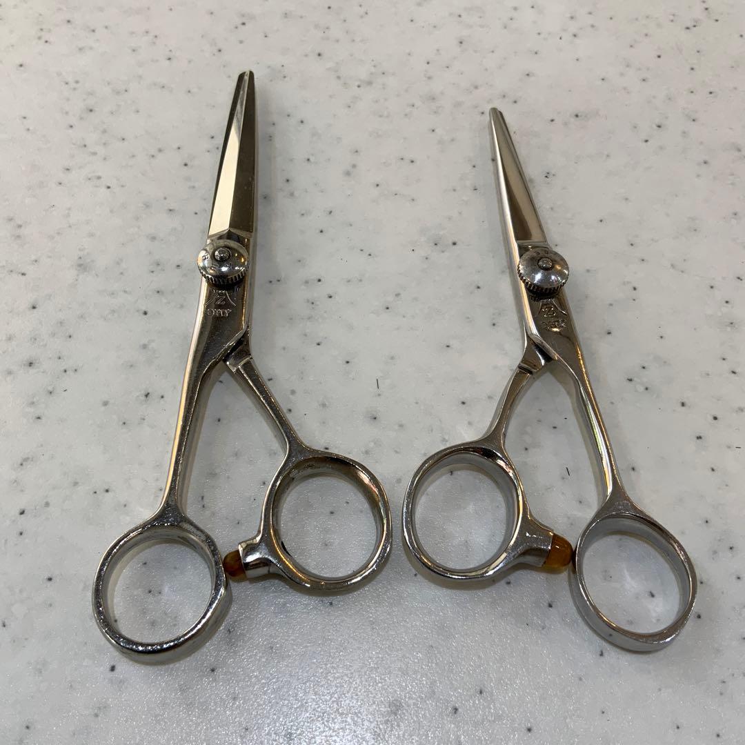 FUJI ハイゼット 美容師用ハサミ２本セット