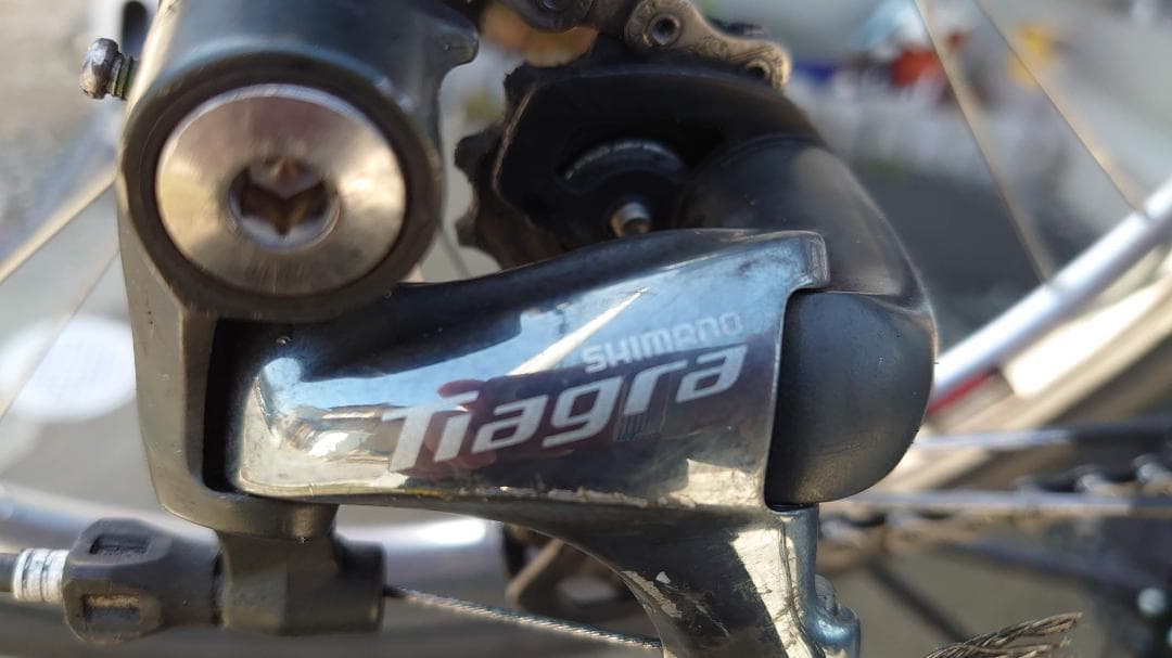 レトロミニベロ★R&M BD-1Zカスタム(2*10s+韋駄天20インチ+α)