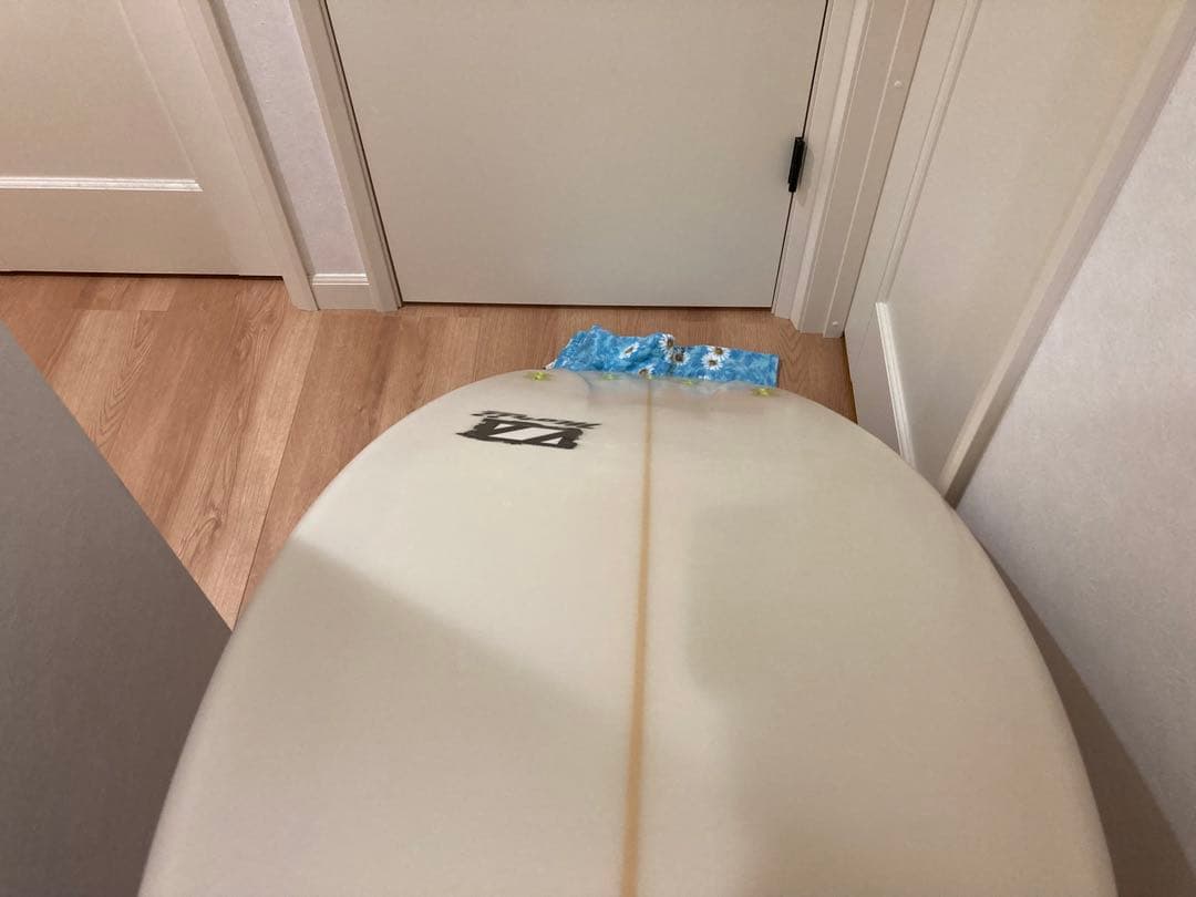 ゼブラ ショート 5'10 板整理