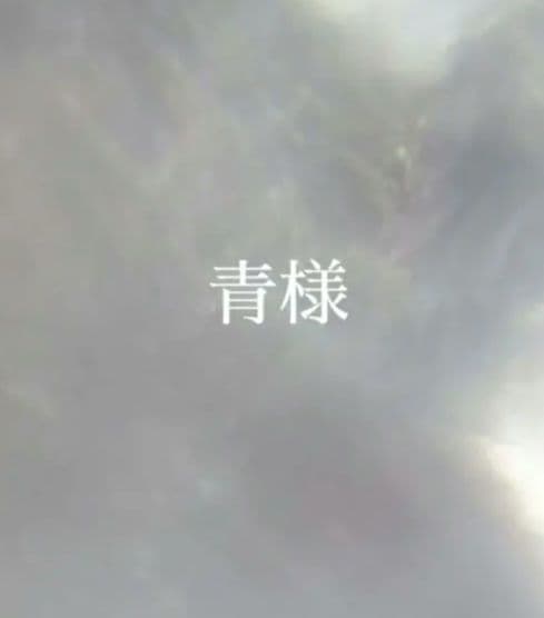 2.青様　オーダー