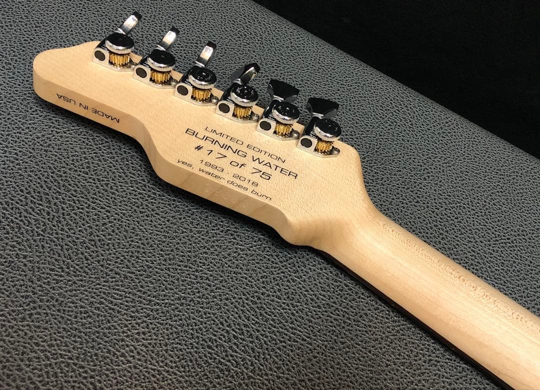 ギター James Tyler Studio Elite 25 Anniversary