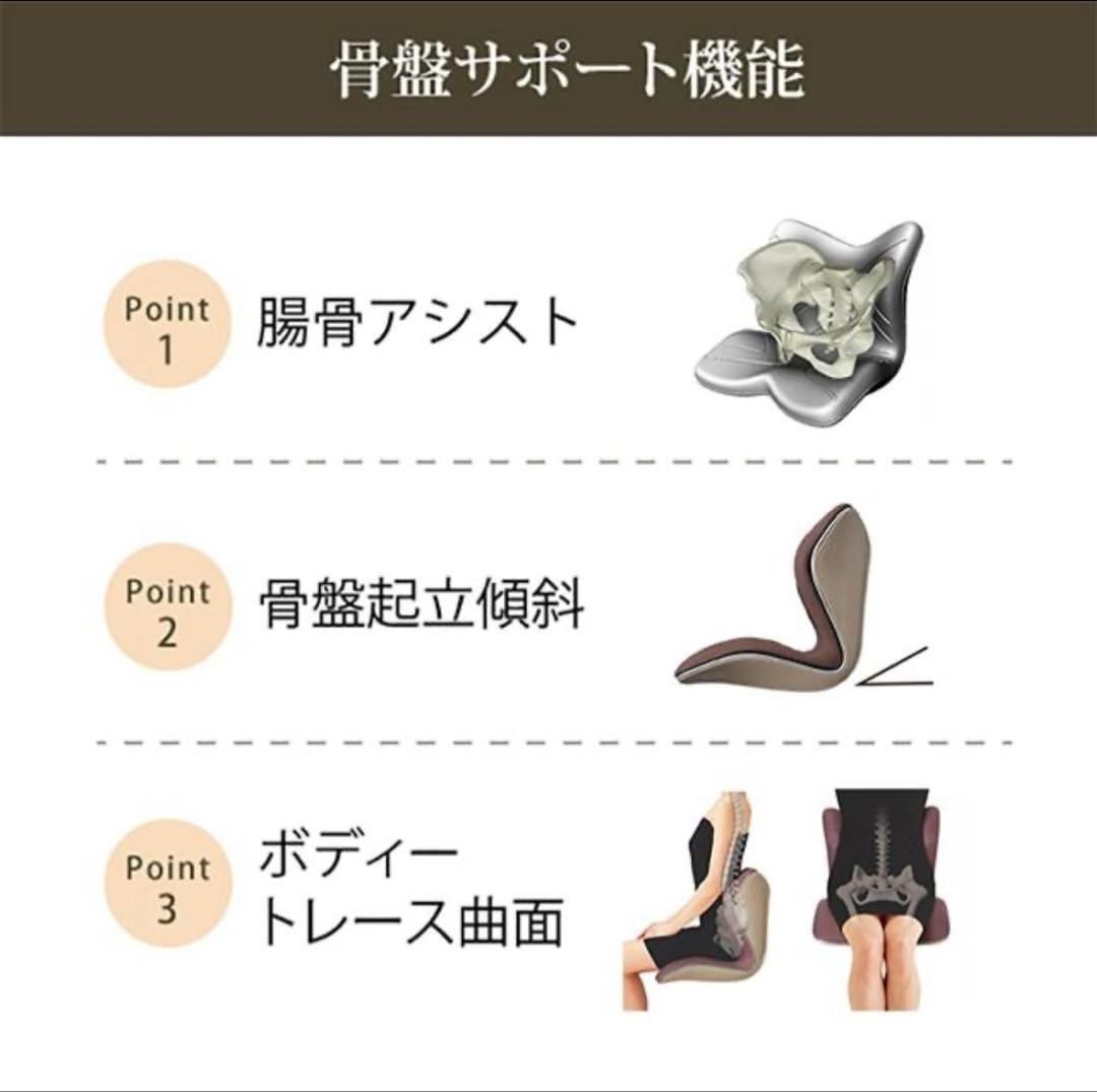 【新品】正規販売　スタイルプレミアム Style PREMIUM 骨盤クッション