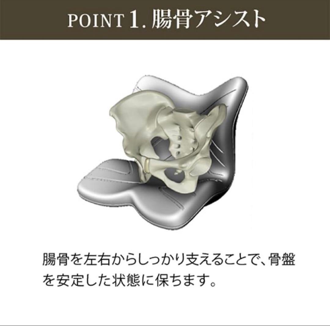 【新品】正規販売　スタイルプレミアム Style PREMIUM 骨盤クッション