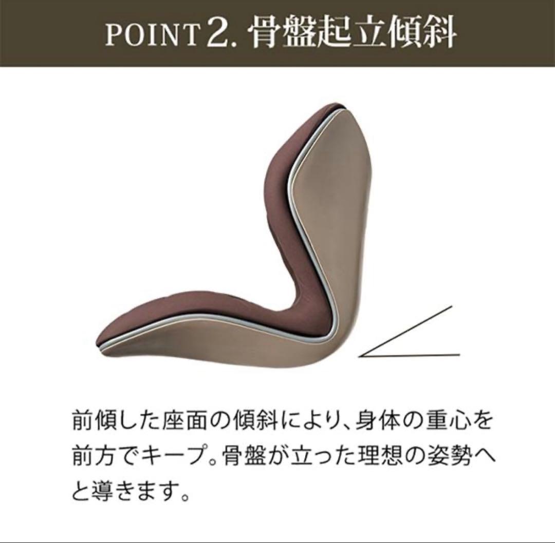 【新品】正規販売　スタイルプレミアム Style PREMIUM 骨盤クッション