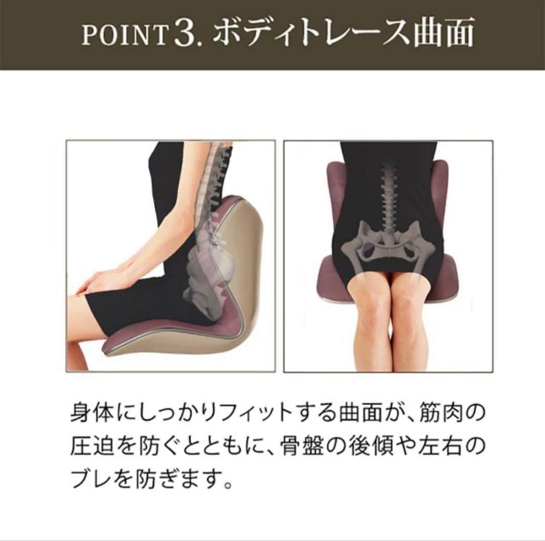 【新品】正規販売　スタイルプレミアム Style PREMIUM 骨盤クッション