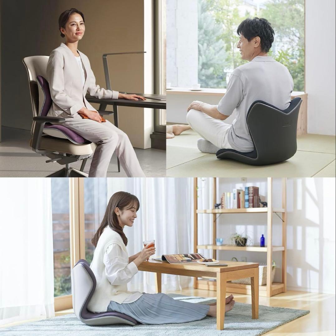 【新品】正規販売　スタイルプレミアム Style PREMIUM 骨盤クッション