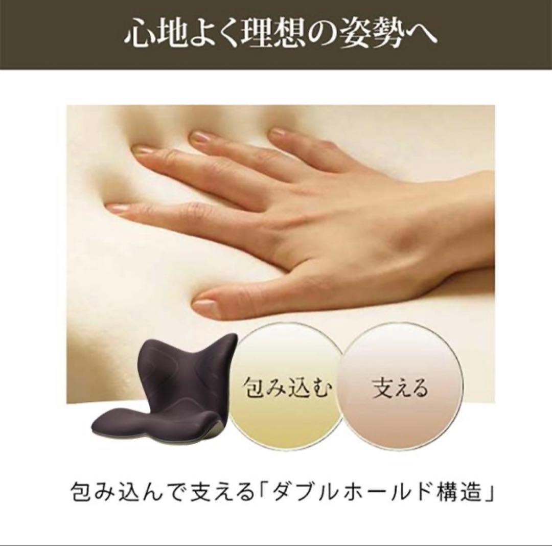 【新品】正規販売　スタイルプレミアム Style PREMIUM 骨盤クッション