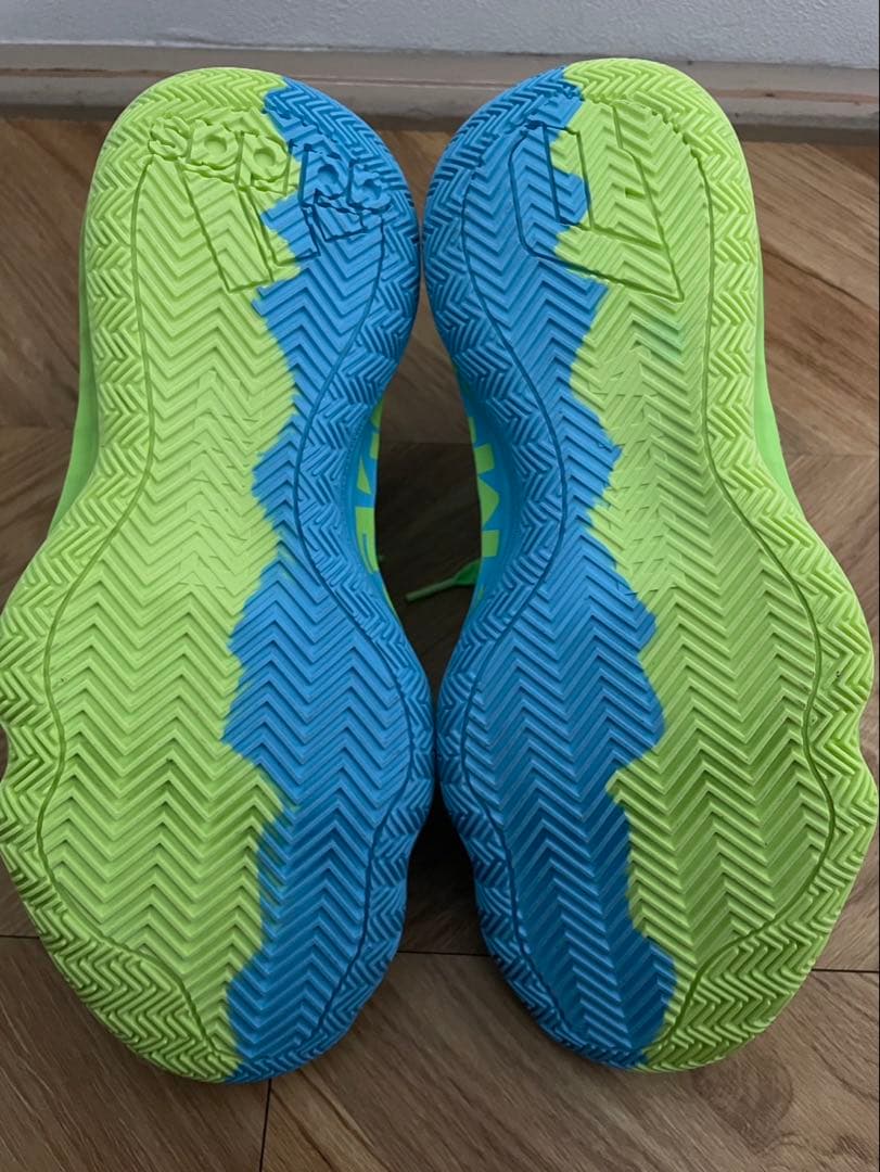 12/30値下げしました！【新品・未使用 ・箱付】デイム6 アディダス バッシュ