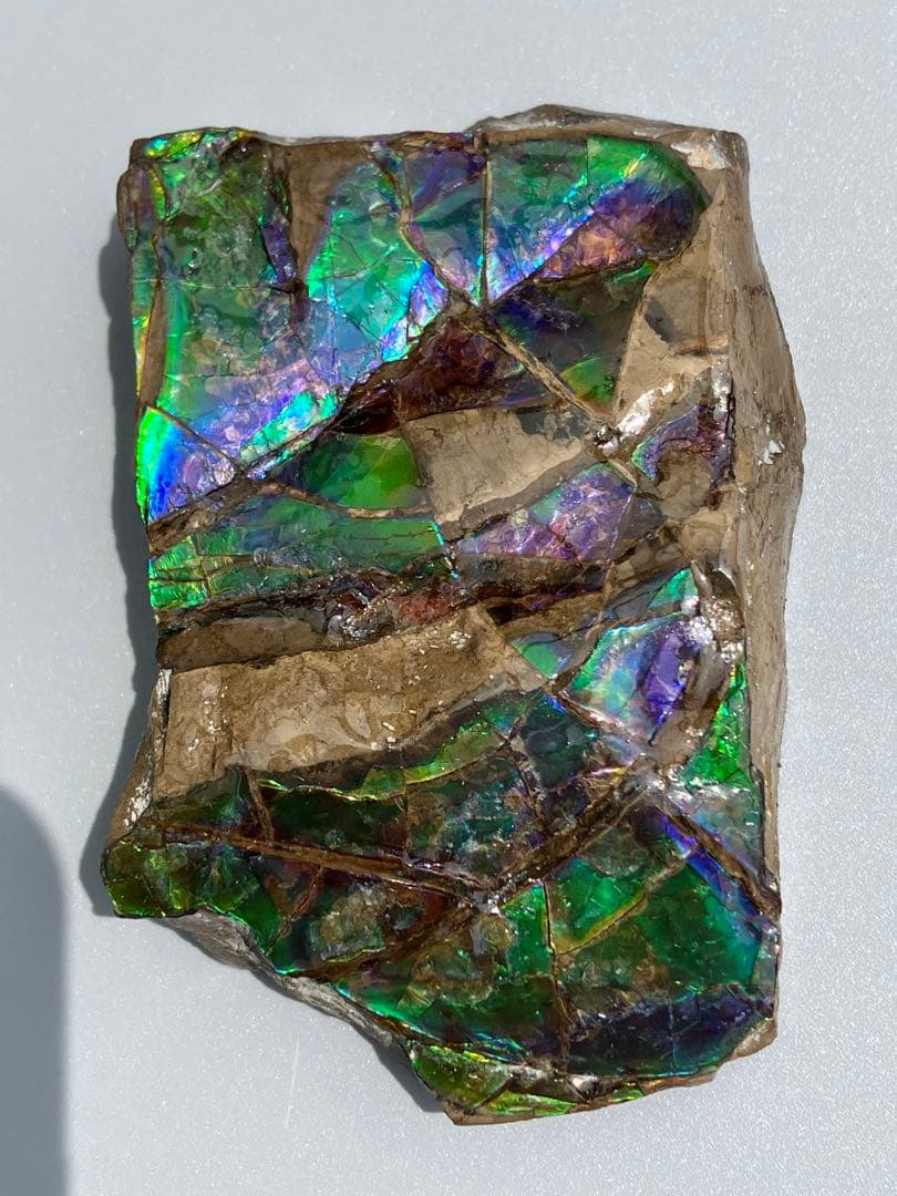 化石　原石　アンモライト　アンモナイト　幅7.7cm カナダ産　箱付き