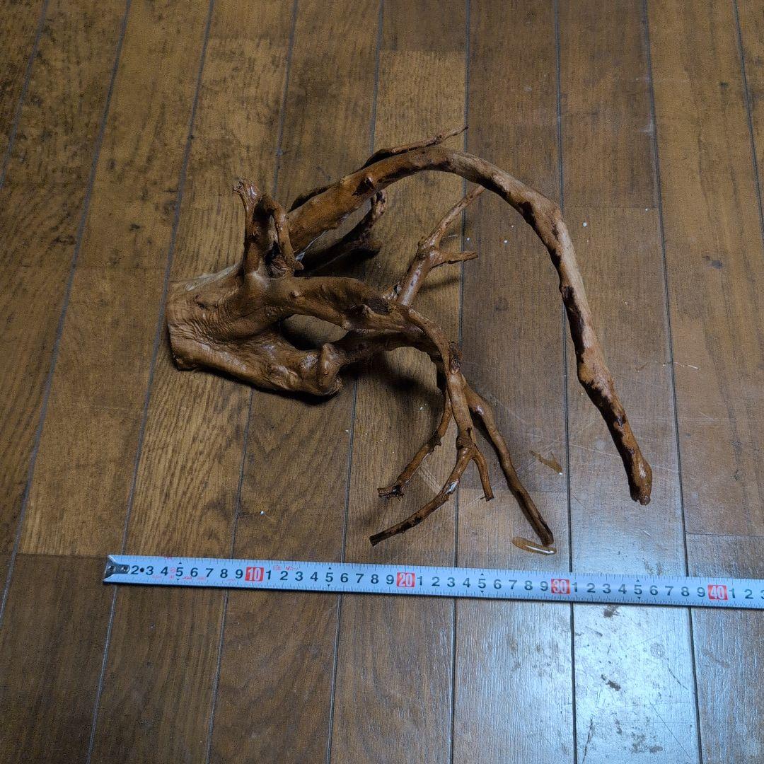 アクリル水槽　アクリルケージ