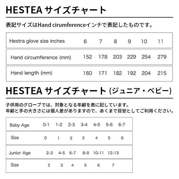 【高橋ヨシオ】ヘストラ(HESTRA) スキーグローブ サイズ:8