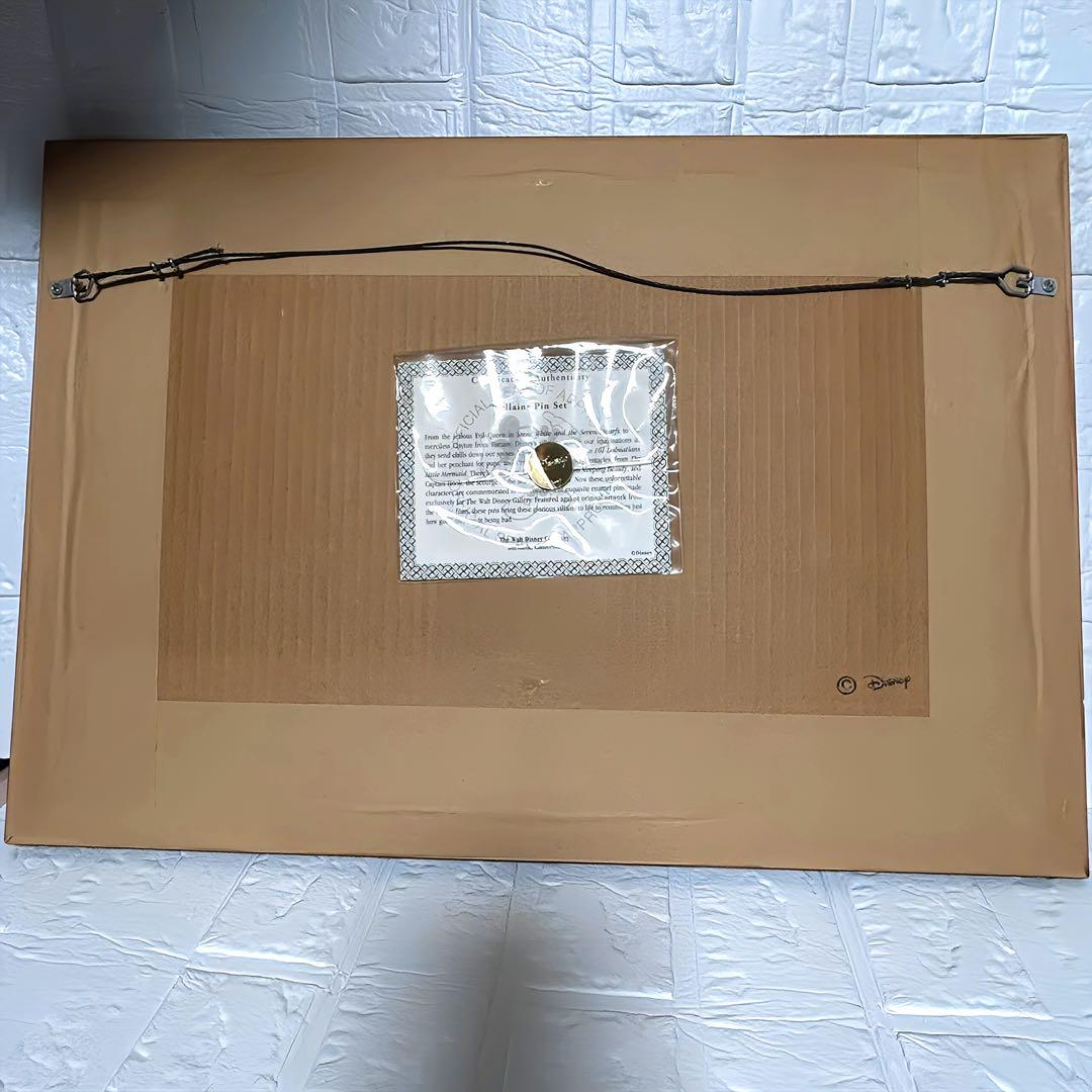 ディズニー　ヴィランズ　世界1000枚限定　ピンバッジ　額装ピンセット