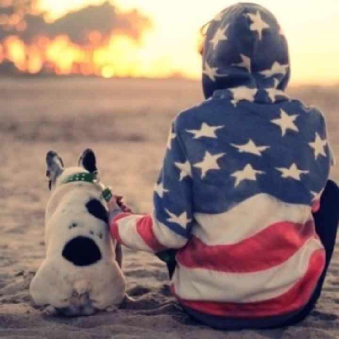 たぬきさん専用！ナルディステアリング！ステアリングボス、GMホーンボタン付