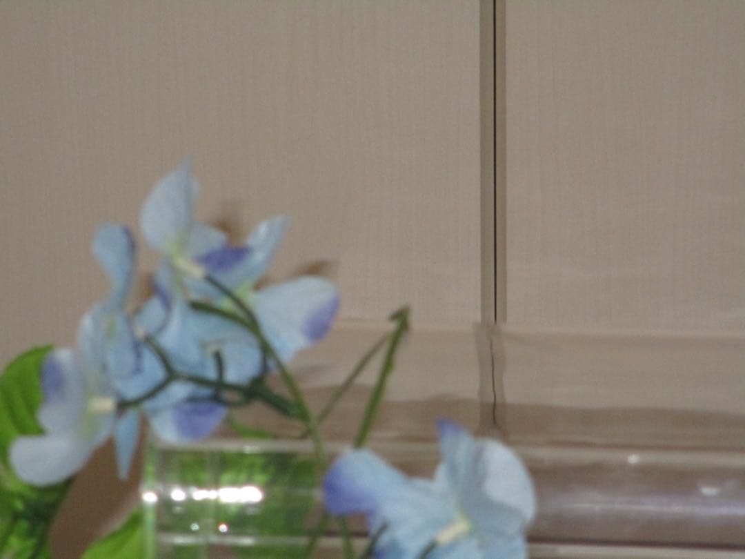 Canon カメラ　IXY 200 PC2333 充電器 コンデジ　動作品