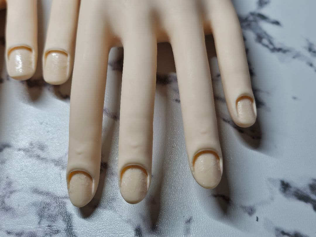 ネイリスト技能検定試験用　JNEC認定モデルハンド 2セット