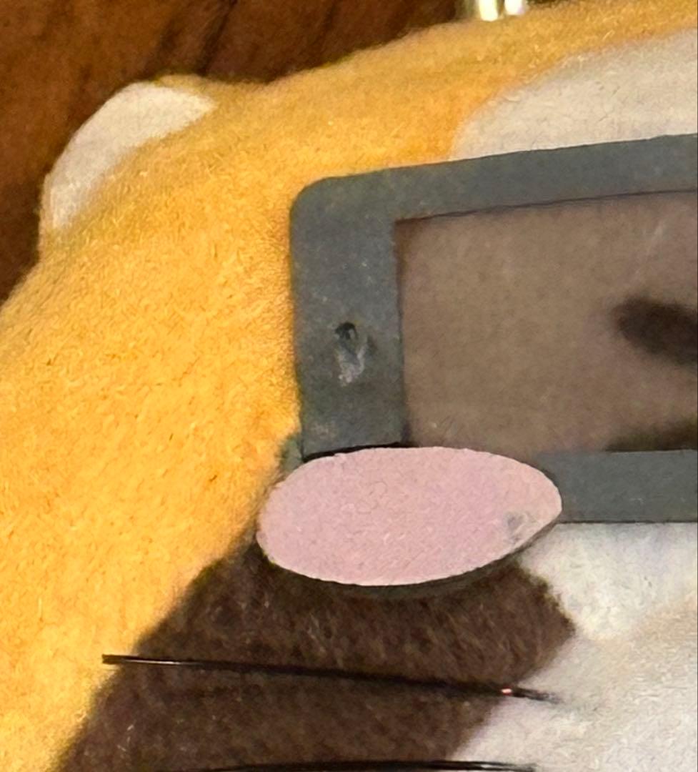 希少　タグつき　進撃の巨人 ×ラスカルコラボ　グッズセット