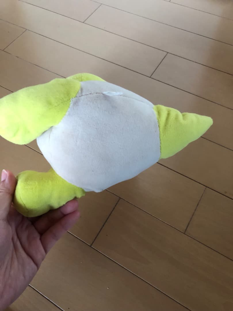 恐竜博物館　ぬいぐるみ　ジュラチック　かみつき　ラプト　　福井　NEWS　増田