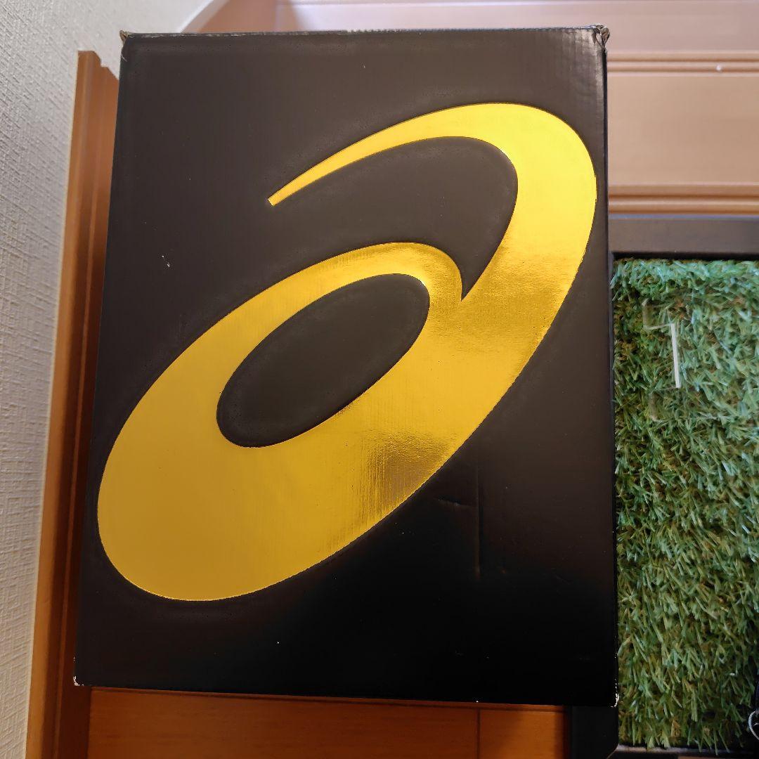 超貴重品　菊池雄星　直筆サイン入りグローブ　西武ライオンズ　球団公式　非売品