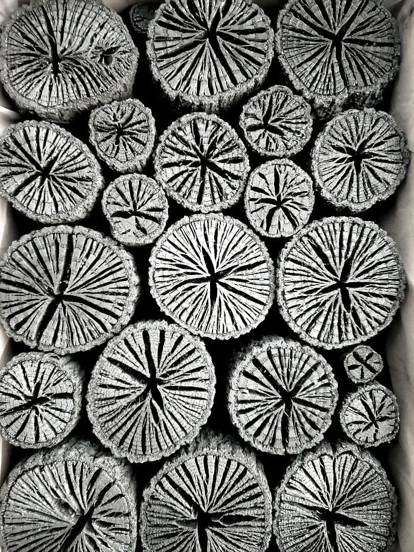 たーちん④【 伊予の切炭 】太め菊炭特選×2箱