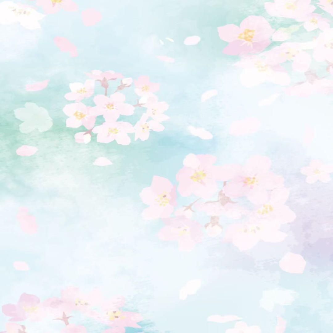 マッコイノンF シェイプ EX ボディマッサージクリーム 250g（2本セット）