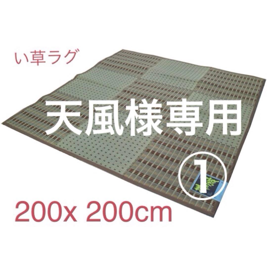 天風　い草ラグ　200x200cm 2枚