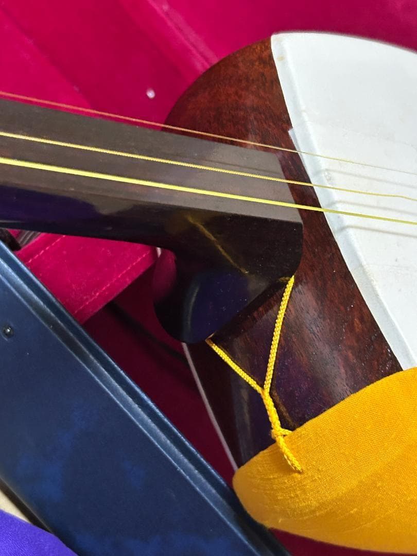 H*☆様 三味線　ハードケース付き