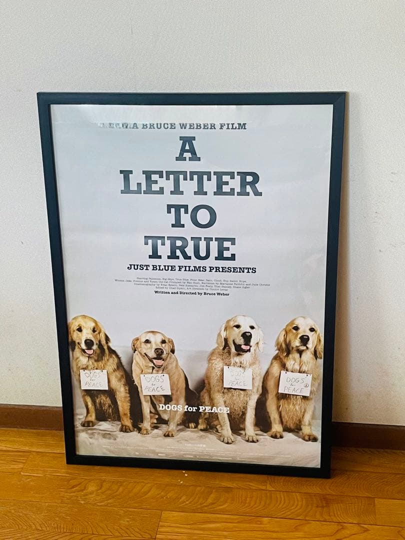 ブルースウェーバー　トゥルーへの手紙　映画ポスター