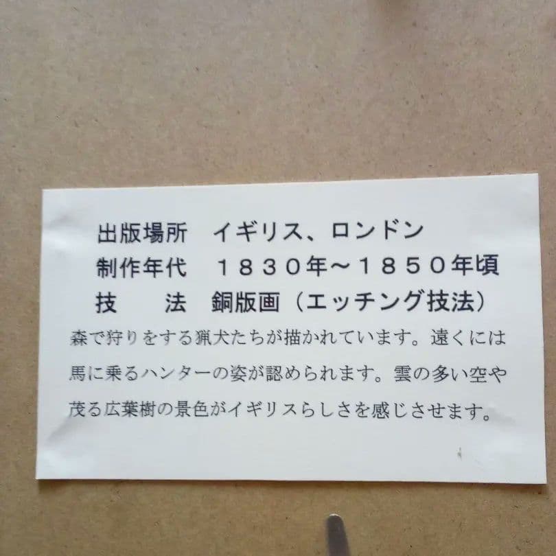 イギリス 銅版画 (エッチング技法) の額装品 猟犬