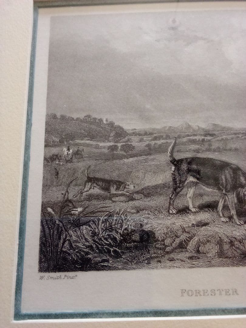 イギリス 銅版画 (エッチング技法) の額装品 猟犬