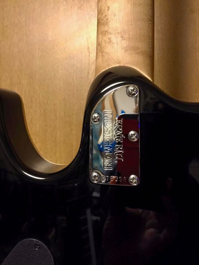 Music Man ミュージックマン Steve Morse Y2D