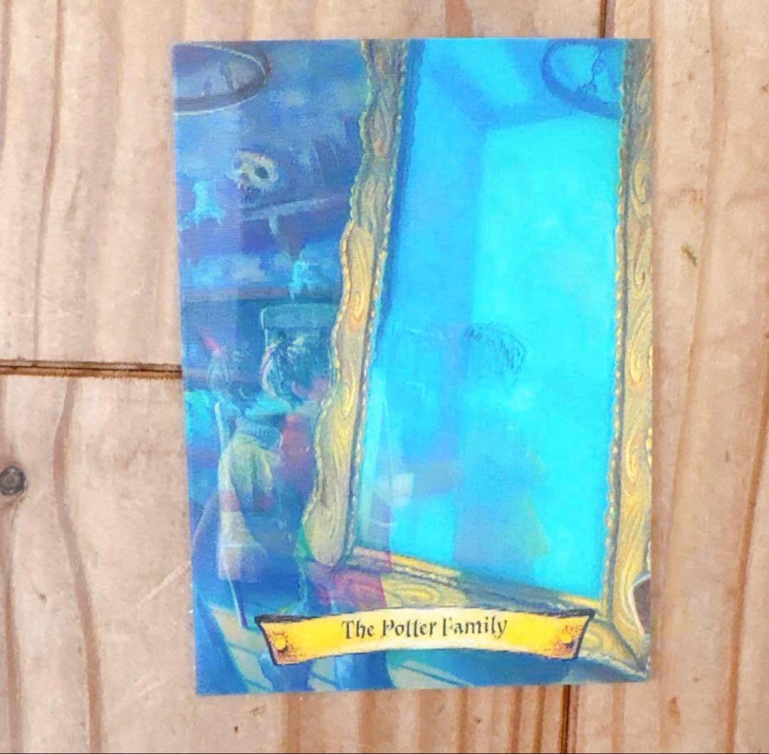 ハリーポッター　カエルチョコ　3DカードThe Potter Family