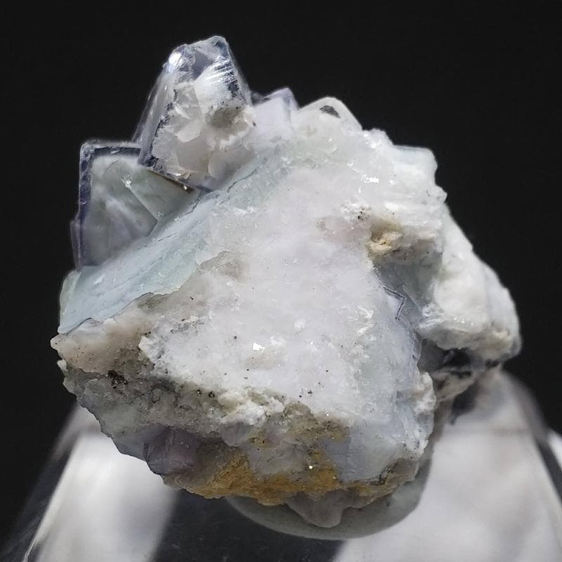 329 ポーセリンフローライト