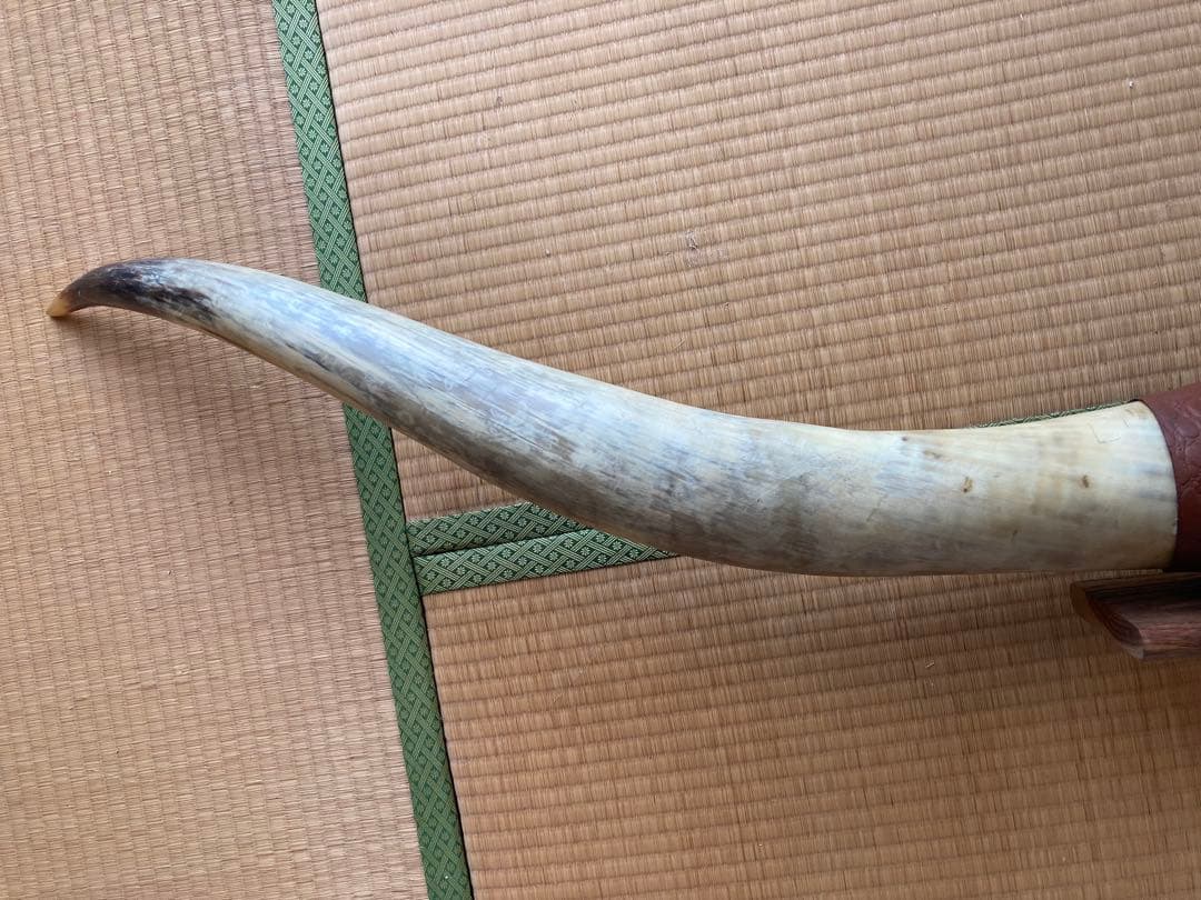 希少　テキサスロングホーン角　200㎝　オーナメント　壁掛け飾り　アメリカン雑貨