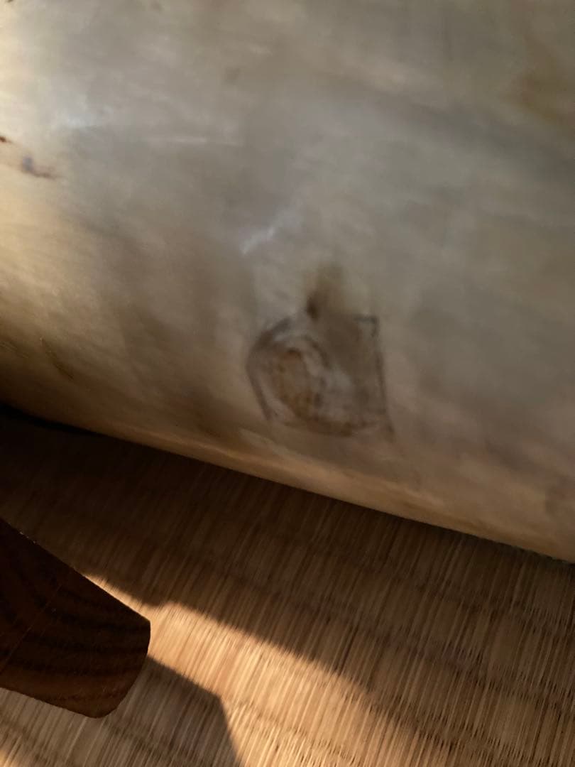 希少　テキサスロングホーン角　200㎝　オーナメント　壁掛け飾り　アメリカン雑貨