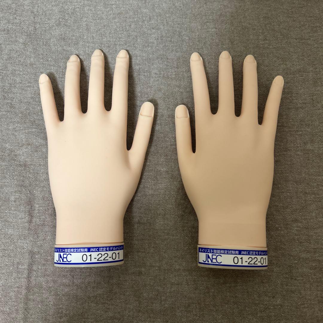 JNEC認定モデルハンド STモデルハンド 骨折無し