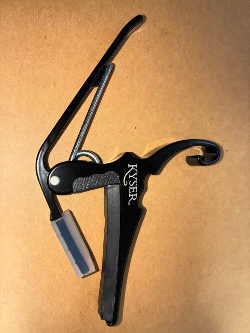 FUJIGEN エレキギター SEL-BW-DL-HSH