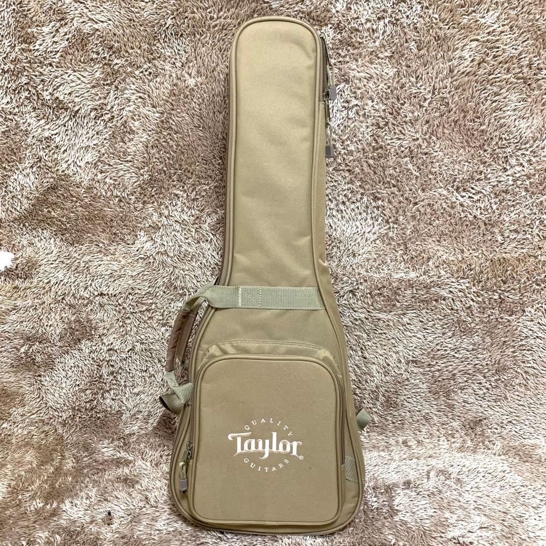 【美品・新品弦交換済】Taylor Baby BT1 ミニアコギ テイラー