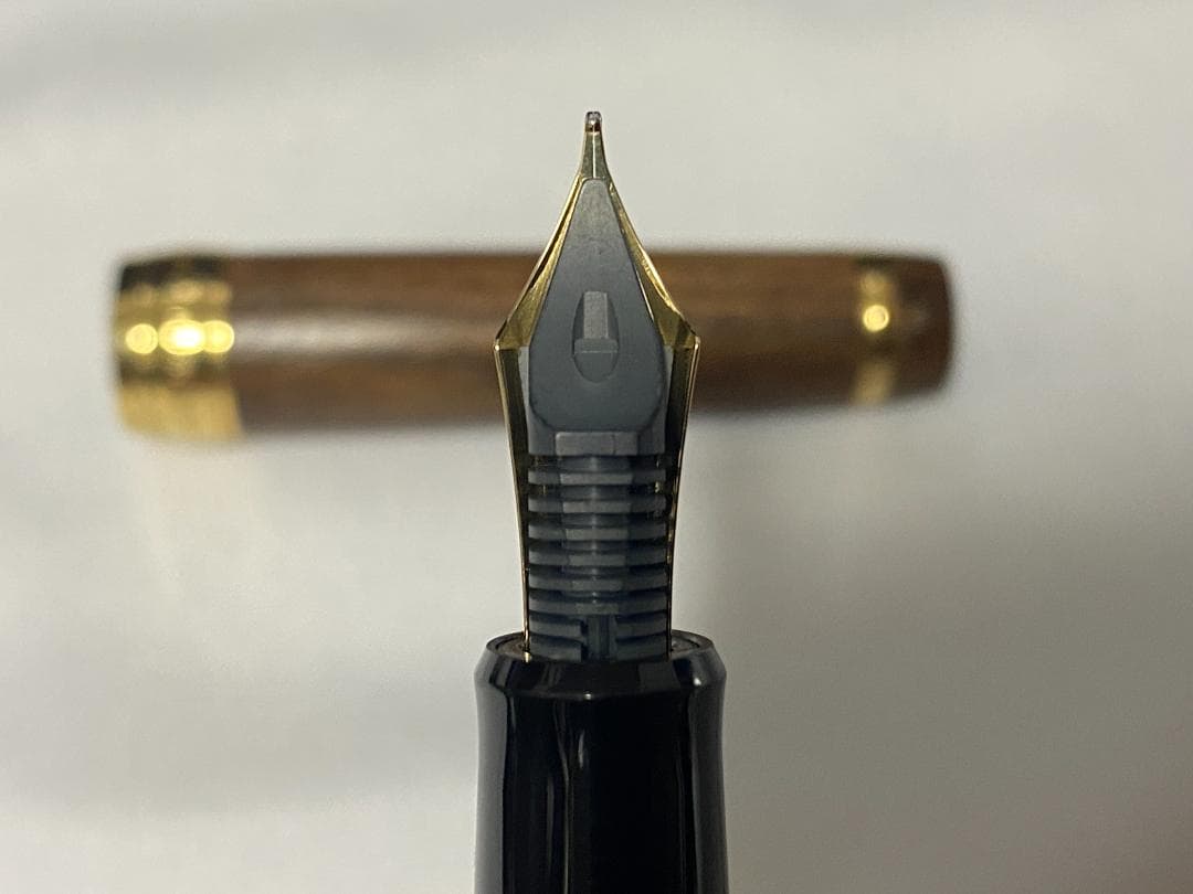 PILOT 万年筆 カスタム槐 ペン種 M