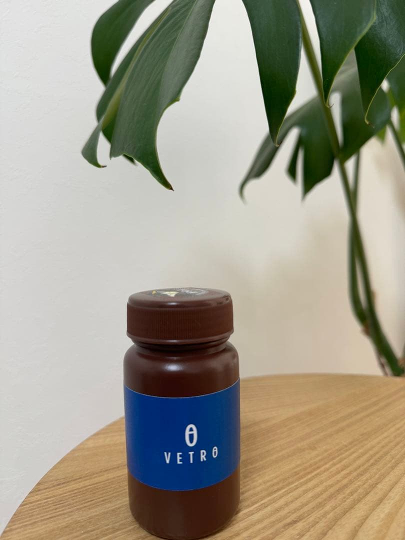 VETRÔ VF-100 プロテクトクリアフジ EX 100ml