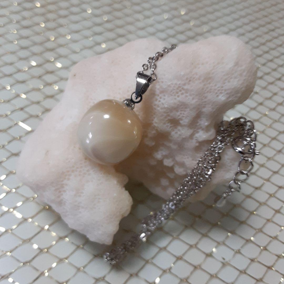 夜光貝　(6点おまとめ/ペロちゃん。❤︎お取り置き中)