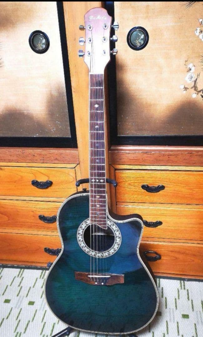 ♦️超レアギター♦️ ProMartin エレアコ EA350BLS ①