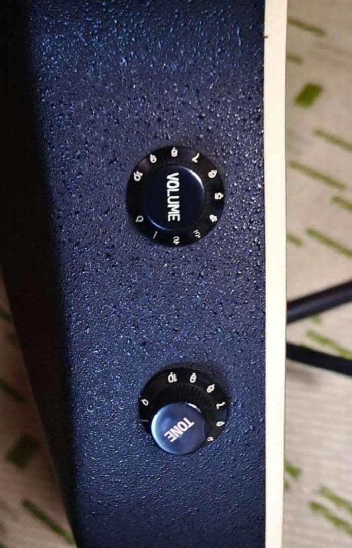 ♦️超レアギター♦️ ProMartin エレアコ EA350BLS ①